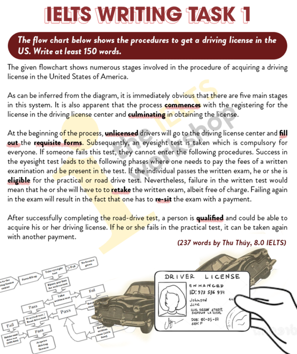 ielts writing task 1 driver's license