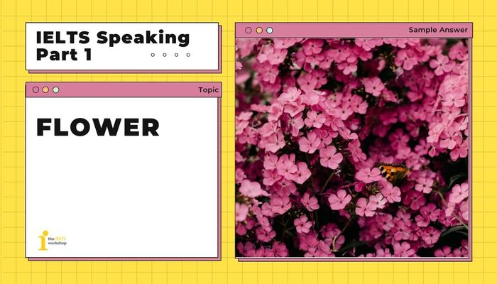 ielts speaking part 1 blossom