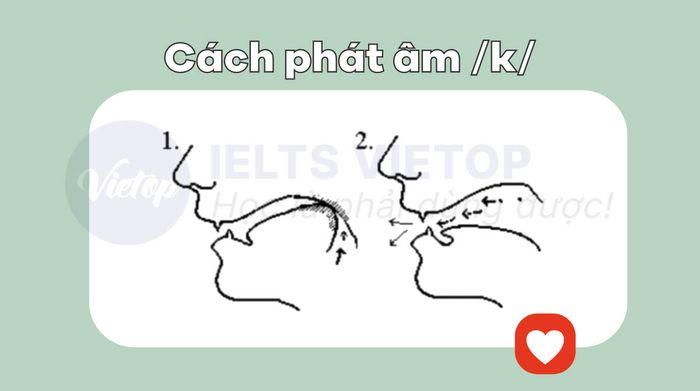 Pronunciation of /k/