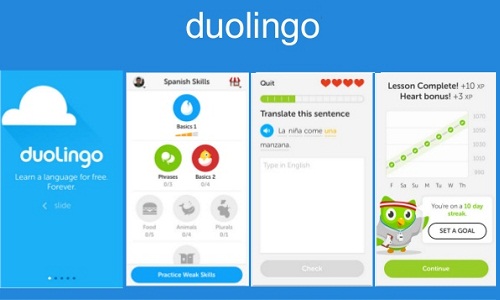 Phần mềm học tiếng Anh Duolingo