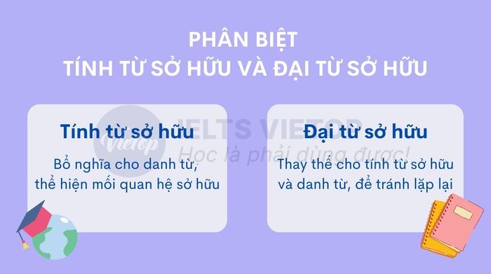 Phân định sự khác biệt giữa tính từ sở hữu và đại từ sở hữu