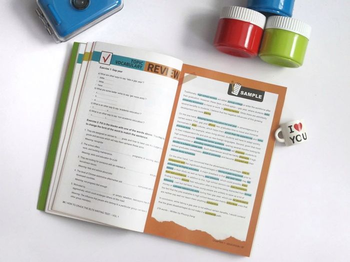 Review sample essays