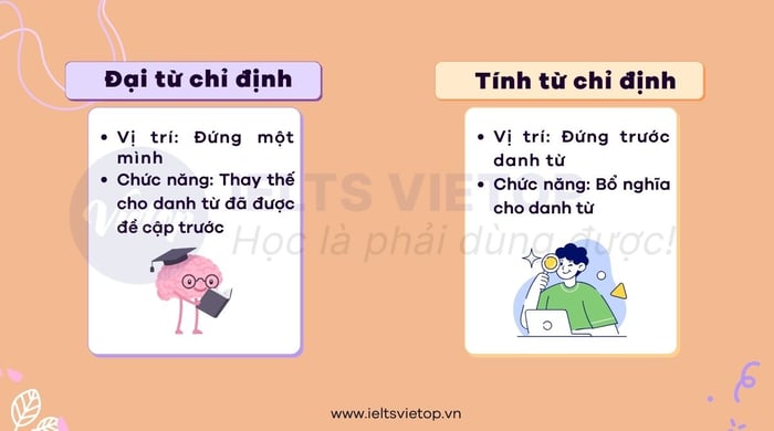 Phân biệt tính từ chỉ định và đại từ chỉ định