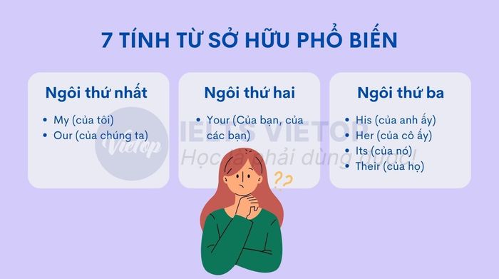 Các tính từ sở hữu phổ biến