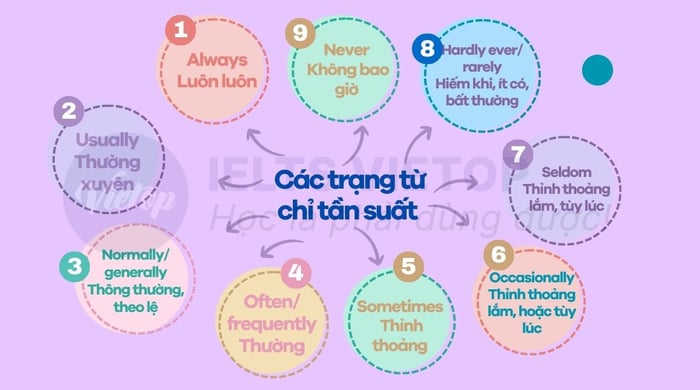 Những từ chỉ tần suất trong tiếng Anh 