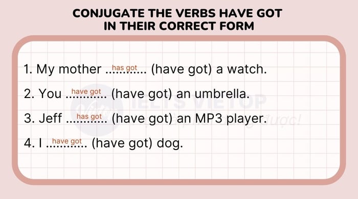 Conjugate the have got verbs correctly