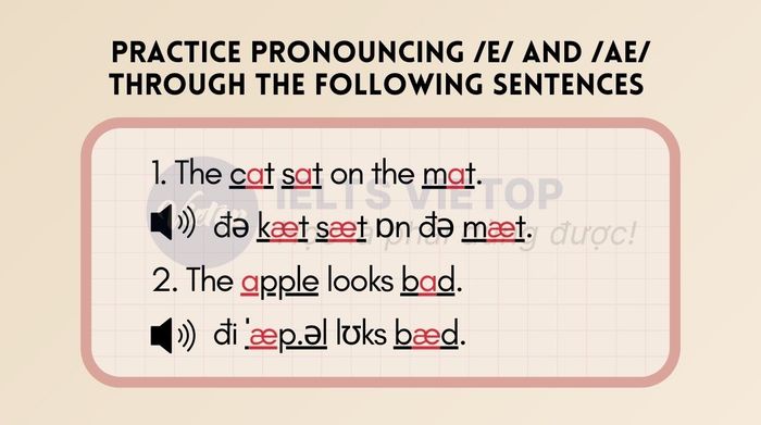 Practice pronouncing /e/ and /æ/ using the sentences below, paying attention to the words in bold