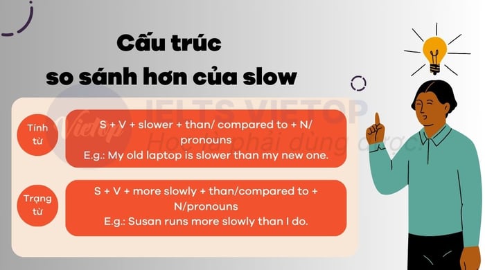 Comparative structure of slow