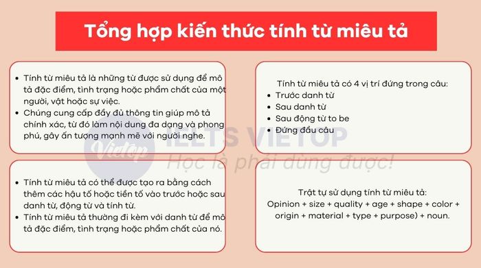 Bài tập về tính từ miêu tả có đáp án chi tiết