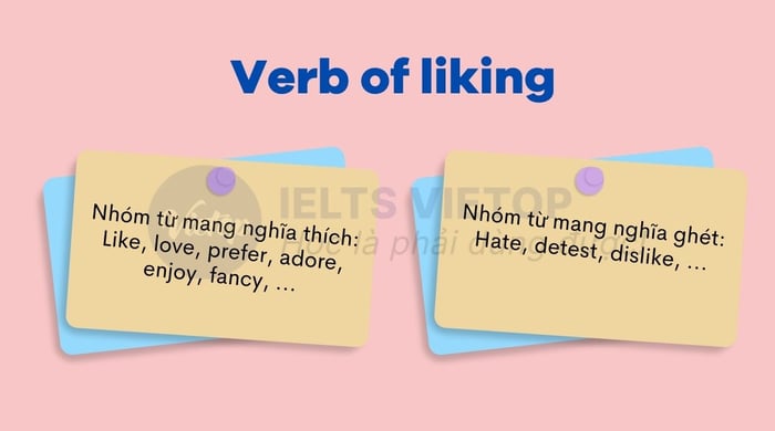 Verb of liking là gì?