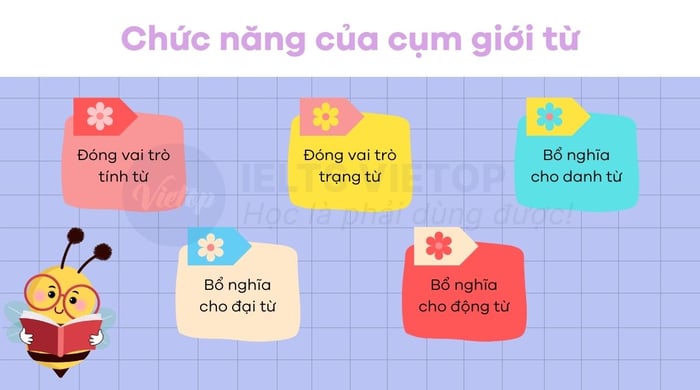 Chức năng của các cụm giới từ