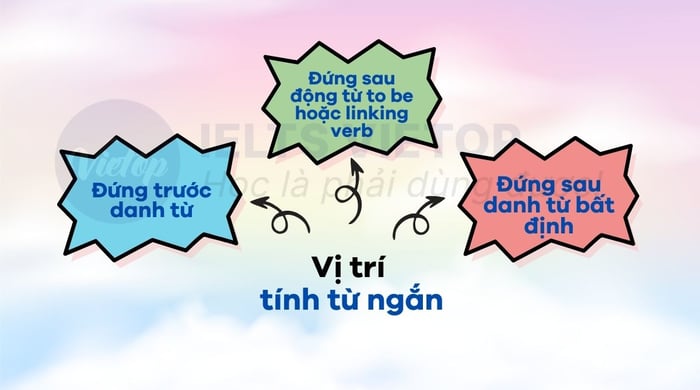 Vị trí của tính từ rút gọn trong câu