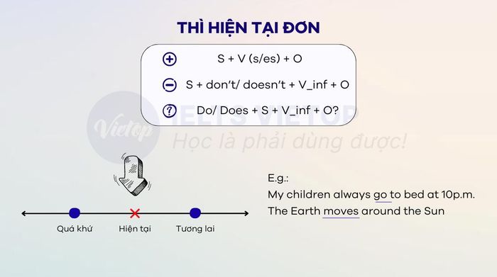 Thì hiện tại đơn là gì?