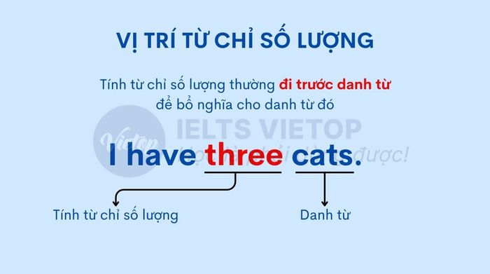 Vị trí của tính từ chỉ số lượng