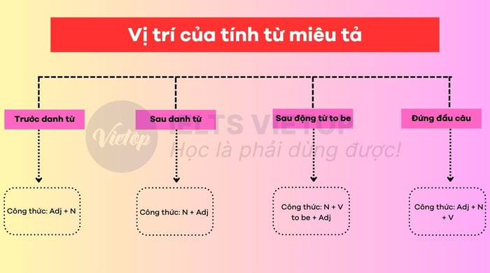 Vị trí của tính từ miêu tả trong câu