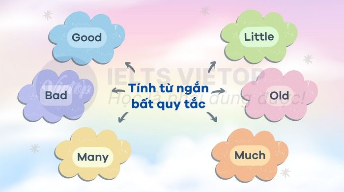 Tính từ ngắn không quy tắc