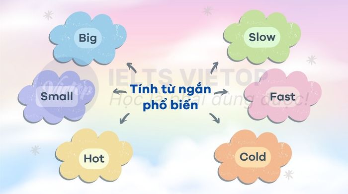 Một số tính từ ngắn thường gặp trong tiếng Anh