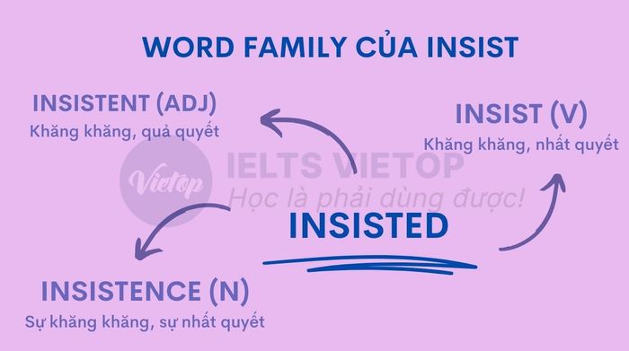 Các bộ từ của insist