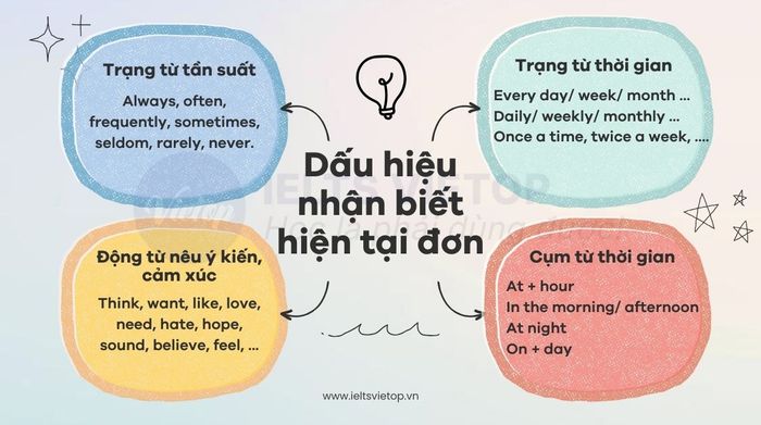 Dấu hiệu nhận biết thì hiện tại đơn