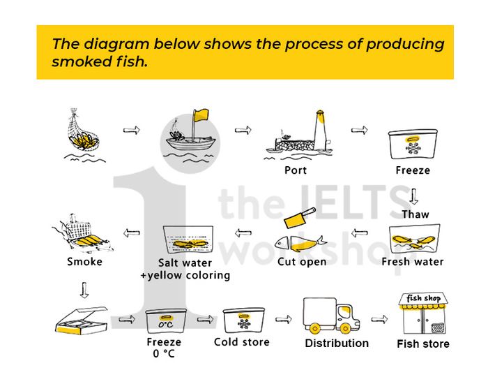 process of smoking fish ielts