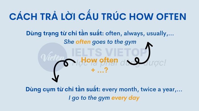 Phương pháp trả lời câu hỏi how often