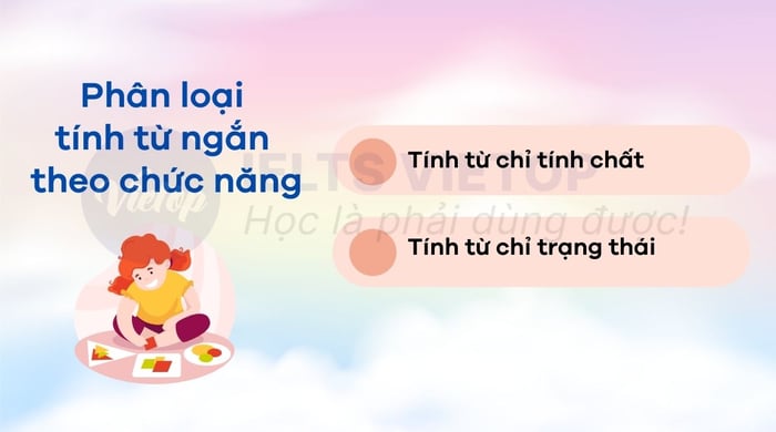 Phân loại tính từ rút gọn theo chức năng