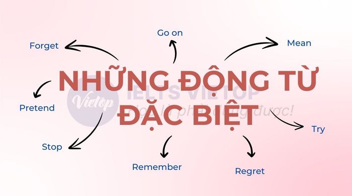 Các động từ đặc biệt