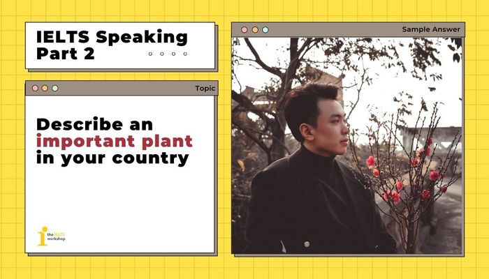 description of an important plant in your country