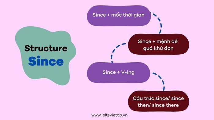 Structures following the preposition 'since'