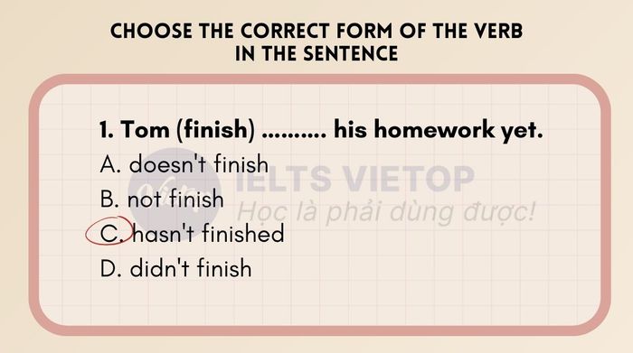 Bài tập trắc nghiệm Thì hiện tại hoàn thành