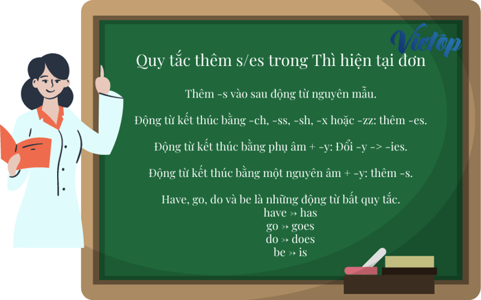 Quy tắc thêm s/es trong Thì hiện tại đơn