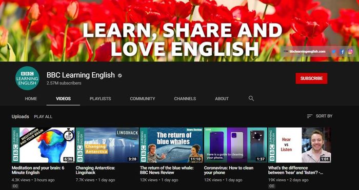 Kênh youtube BBC học IELTS