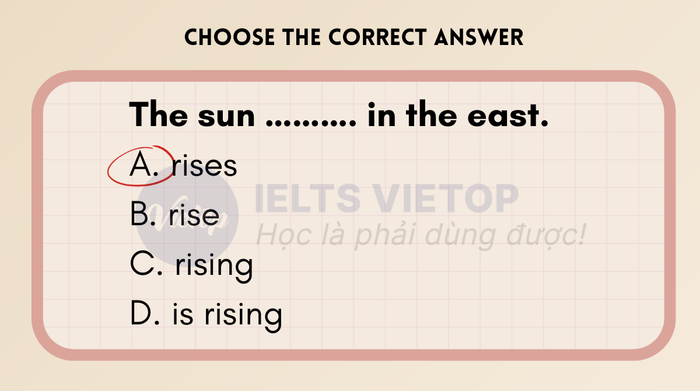 Exercise on simple past and present simple tenses