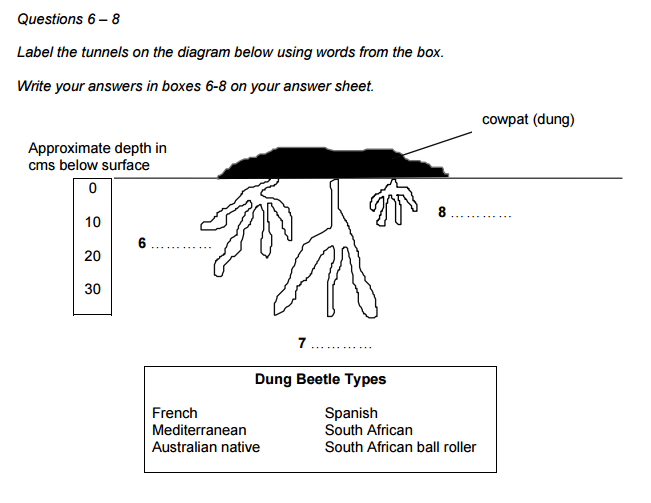 Diagram Completion