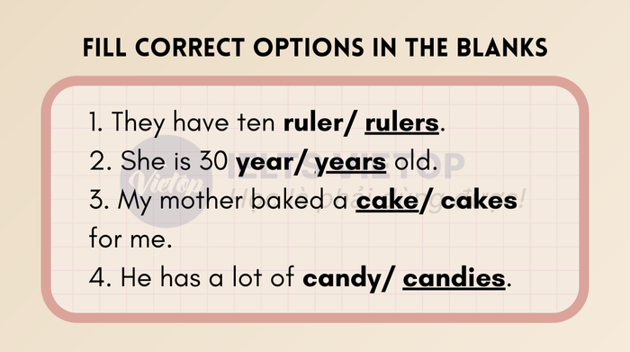 singular and plural noun exercise