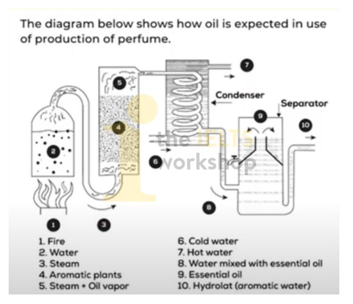 The diagram below illustrates the process of oil extraction for perfume production