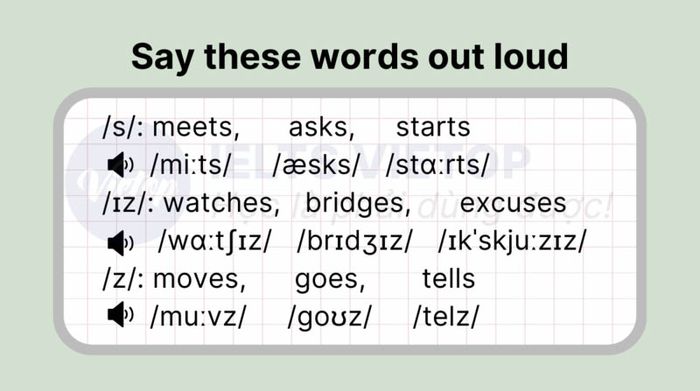 Practice on how to pronounce s es z