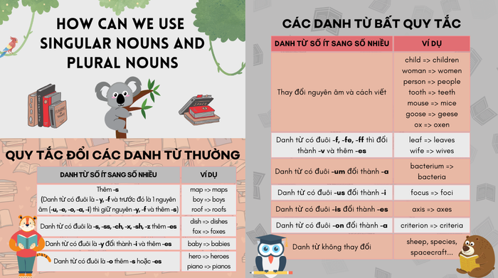 bài tập thực hành danh từ số ít và danh từ số nhiều