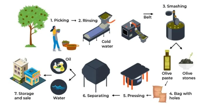 The diagram below illustrates the process of olive oil production.