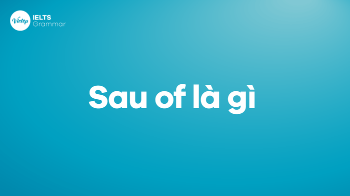 Ý nghĩa của sau of là gì