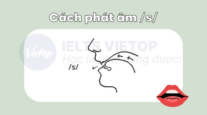 Cách phát âm s