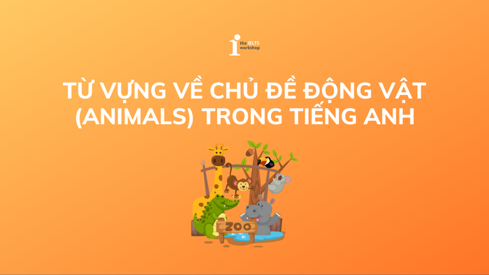 từ vựng về Động vật