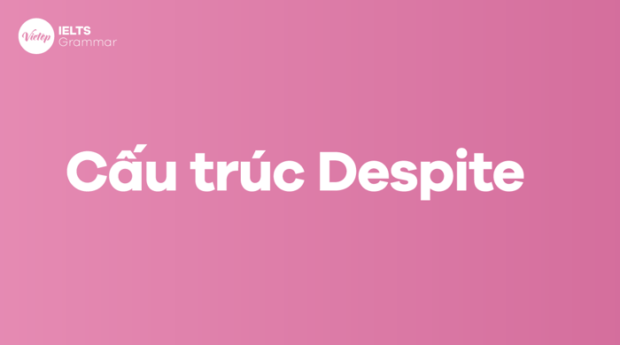 Sau từ despite có nghĩa là gì? Despite + cái gì? Cách sử dụng cấu trúc despite và in spite of