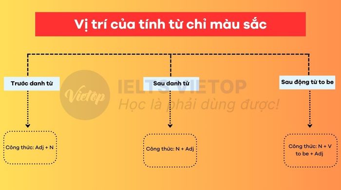 Vị trí của tính từ màu sắc trong câu