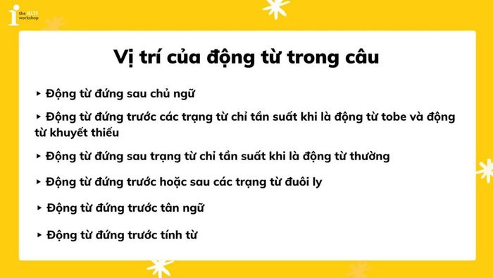 Vị trí của động từ trong câu