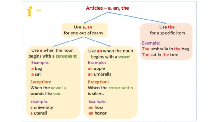 Mạo từ trong tiếng Anh, mạo từ a an the