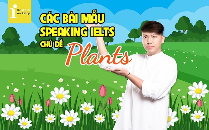 các bài mẫu nói ielts