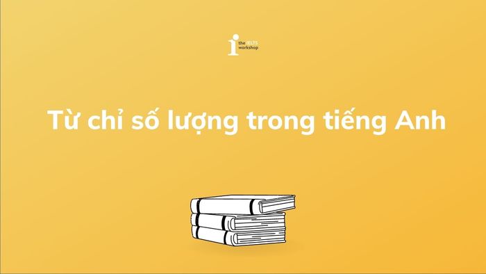 Từ chỉ số lượng trong tiếng Anh