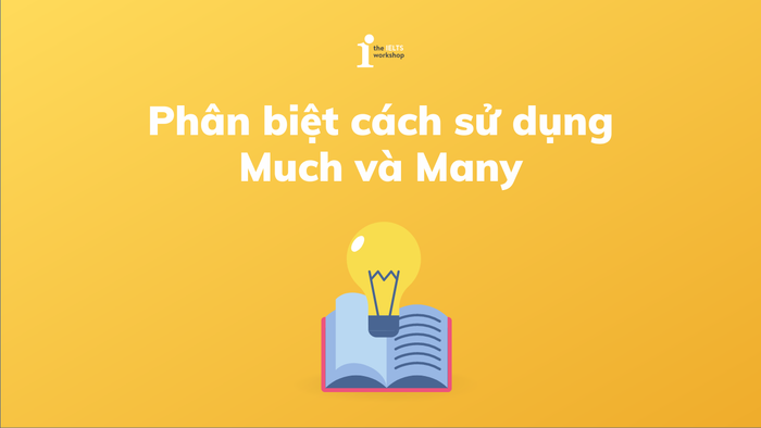 phân-biệt-much-và-many