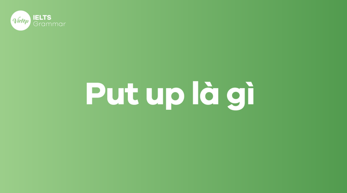 Put up là gì